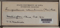 Image Associated With the Occurence